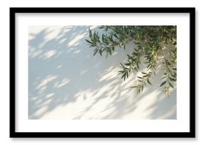 Olive tree branches with green leaves cast shadows on a bright white wall. Sunlight creates dappled patterns on the textured surface, suggesting a warm Mediterranean day.