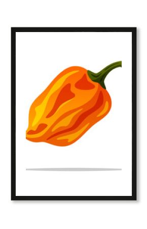 Orange habanero pepper vector isolated illustration