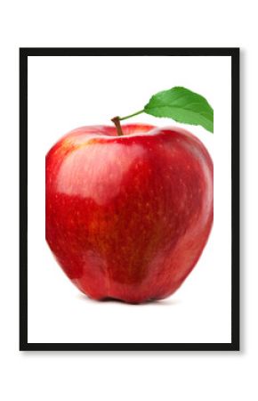 Red apple on white background