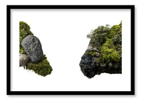 The top view showcases green moss and decorative rocks isolated on a white background, emphasizing the visible texture