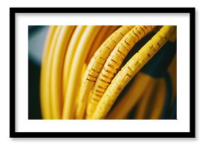 A close-up shot of a collection of yellow wires