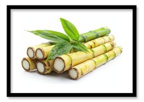 Closeup of Fresh Sugarcane Stalks with Green Leaves