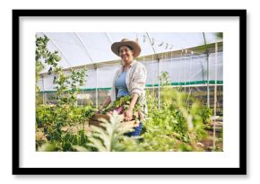 Smile, greenhouse and mature woman on farm with sustainable business, nature and sunshine. Agriculture, gardening and happy face of female farmer, green plants and agro food farming of vegetables.