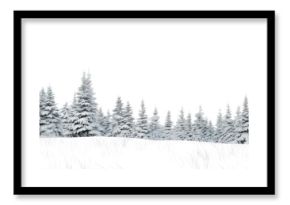PNG Nature snow tree landscape