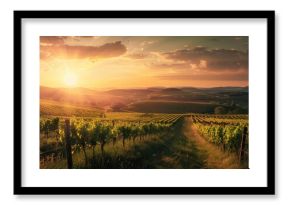 Background image of sunset shining over lush vineyards with rolling hills in the background. Agricultural landscape photography. Wine production and rural beauty concept. Design for poster. AIGT2.