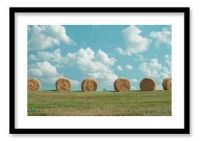 Drying hay balls in a line on a green field under a cloudy blue sky