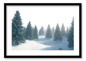 PNG Nature winter forest trees.