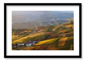 Panoramiczny widok na winnice Piemontu jesienią