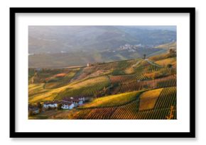 Panoramic view of vineyards of Piedmont in autumn