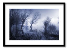 Creepy landscape showing misty dark swamp in autumn
