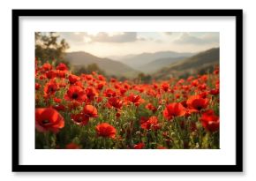 Remembrance poppies create vibrant carpet in peaceful landscape for anzac day