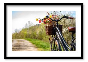 Bicycle tour in spring with flowers in the basket. Seasonal fun on a bike path in the sunlight. Background for a healthy lifestyle.