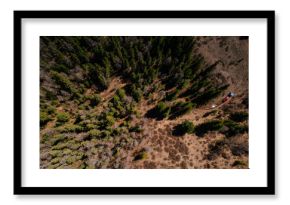 Aerial view of dense forest and off-road vehicles in Altai, Siberia