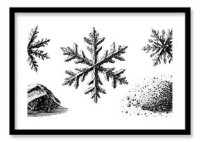 Intricate engraved snowflakes falling with a touch of nature's elements