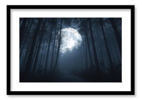The haunting beauty of a moonlit forest path shrouded in fog.