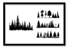 The silhouettes of fir trees are set against a background of coniferous spruce patterns, with modern illustrations of black evergreen woods and beautiful hand-drawn forest panoramas featuring