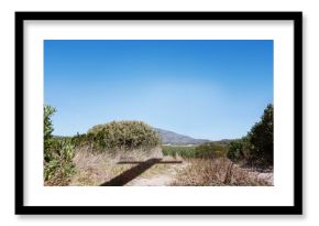 flat design showing sagebrush bush casting cross shaped shadow over sandy trail under blue sky