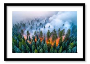 Wildfire spreading through dense pine forest