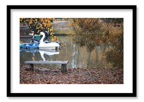 Autumn rain in the park