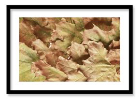 background is fallen autumn leaves, the seasonal backdrop of October fall