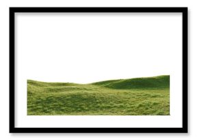 Hills with grass on a transparent background. 3D rendering.  