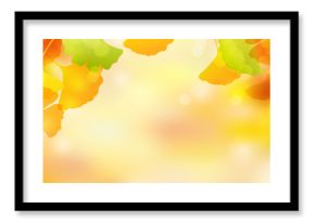 紅葉　イチョウ　秋　背景