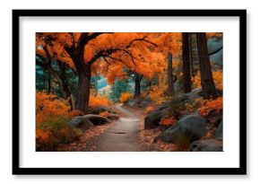 Winding path through vibrant autumn forest landscape