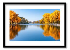 Vibrant golden trees reflecting in calm river during autumn