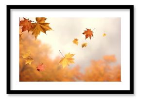 Autumn leaves backgrounds plant maple.