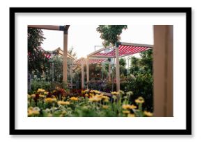 Rows of blooming flowers and plants in outdoor garden centre.