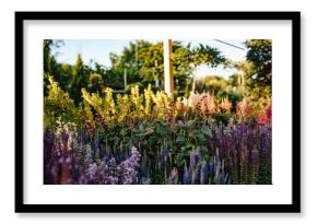 Rows of blooming flowers and plants in outdoor garden centre.