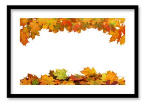 Autumn maple leaves border.  Vibrant fall colors autumn  foliage cut outs 