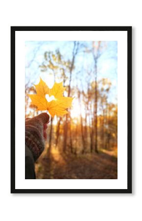 Beautiful autumn nature background. yellow maple leaf with hole in shape of heart in hand outdoor. sunny autumnal forest. symbol of fall season. copy space