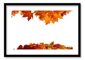 Red Fall Foliage Frame PNG. Fall Leaf Border on Transparent Background