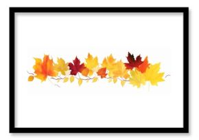 Autum leaves maple plant leaf.