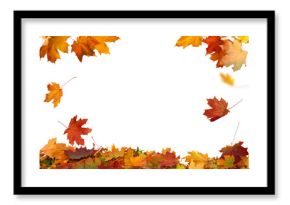 Organic Fall Maple Leaves Border Png
