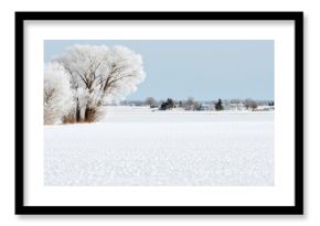 Frost-kissed trees stand serenely on a snowy prairie, evoking Solstice Festival's quiet renewal and Imbolc's icy embrace