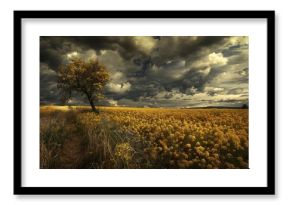 Scenic view of a yellow rapeseed field with a lone tree against a dramatic cloudy sky