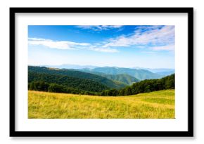 lush alpine meadow in summer. green carpathian mountain landscape under blue sky. beautiful open view in to the distant valley. majestic countryside of ukraine. outdoor adventures in the afternoon