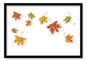 Falling Autumn Leaves