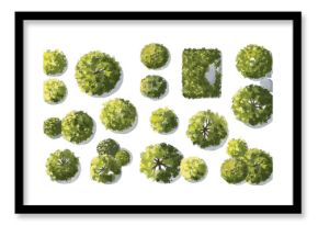 Vector set of Top view green tree for outdoor plan or map and architecture drawing, elements for environment and garden ,botanical elements ,Blooming flowers in spring,tropical plants element
