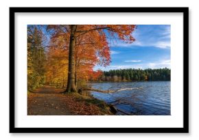 Fall season by the lakeside