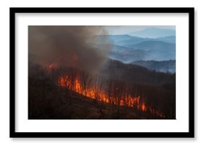 A wildfire erupts in the mountainous region of the Blue Ridge.