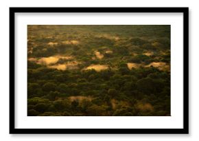 Aerial view of rain forest in Ethiopia at sunrise with fog resting on the trees.