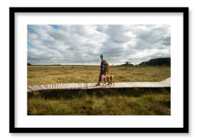 Female exploring wild nature on weekend trip with dog in autumn wetland at peat bog. Woman hiker walking together with pet on wooden ecological trail in middle of raised sphagnum bog on sunny fall day