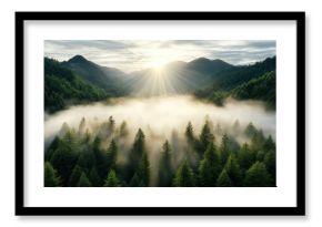 Misty valley with soft morning light illuminating lush green trees, creating tranquil atmosphere