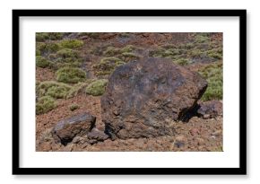 Lava bombs on Teide slopes in Tenerife