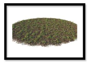 Forest ground pile with straw, leaves, clover and micro plants cutout isolated png on a transparent background premium nature cutout