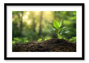 Fresh green shoots emerging from soil bathed in soft light symbolizing growth renewal and new beginnings nature concept sustainable life and rejuvenation for inspirational visual