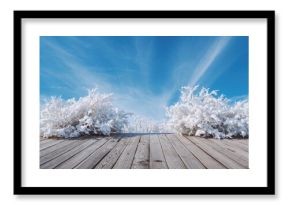 Snow-laden frozen trees and shrubs on a wooden deck beneath a clear blue winter sky, showcasing seasonal change